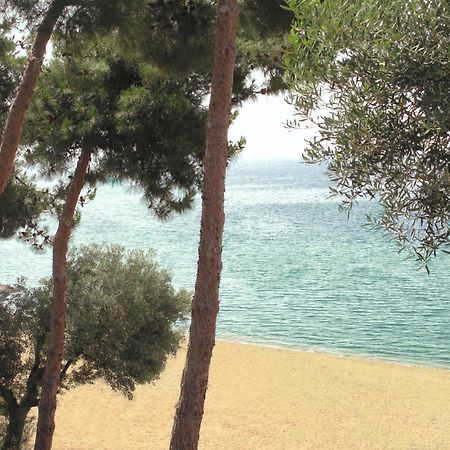 Trikorfo Beach Gerakini Zewnętrze zdjęcie