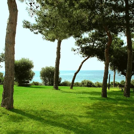 Trikorfo Beach Gerakini Zewnętrze zdjęcie