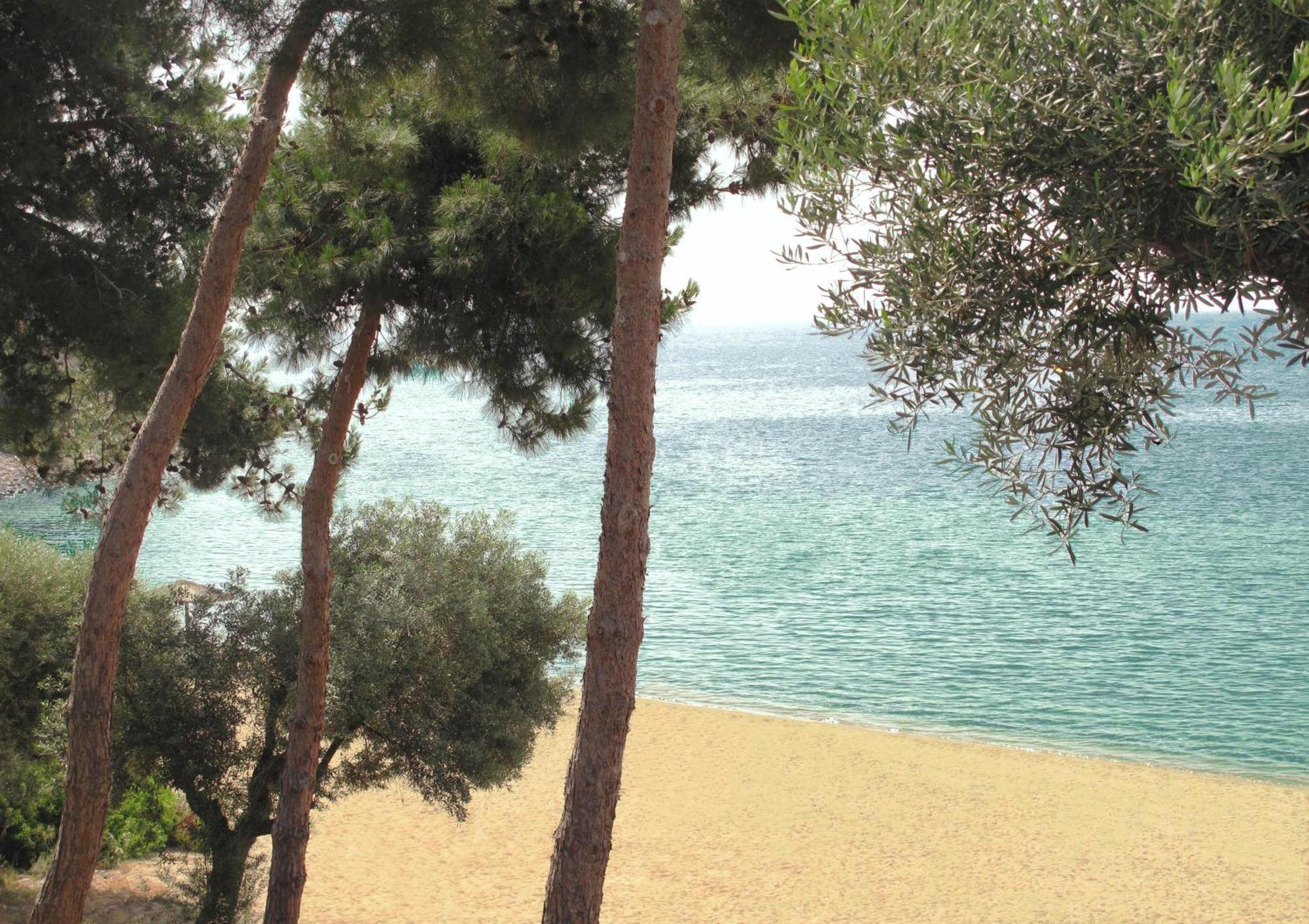 Trikorfo Beach Gerakini Zewnętrze zdjęcie