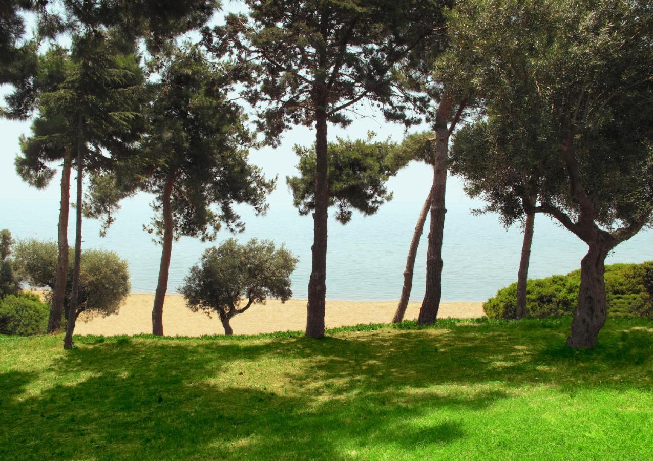 Trikorfo Beach Gerakini Zewnętrze zdjęcie